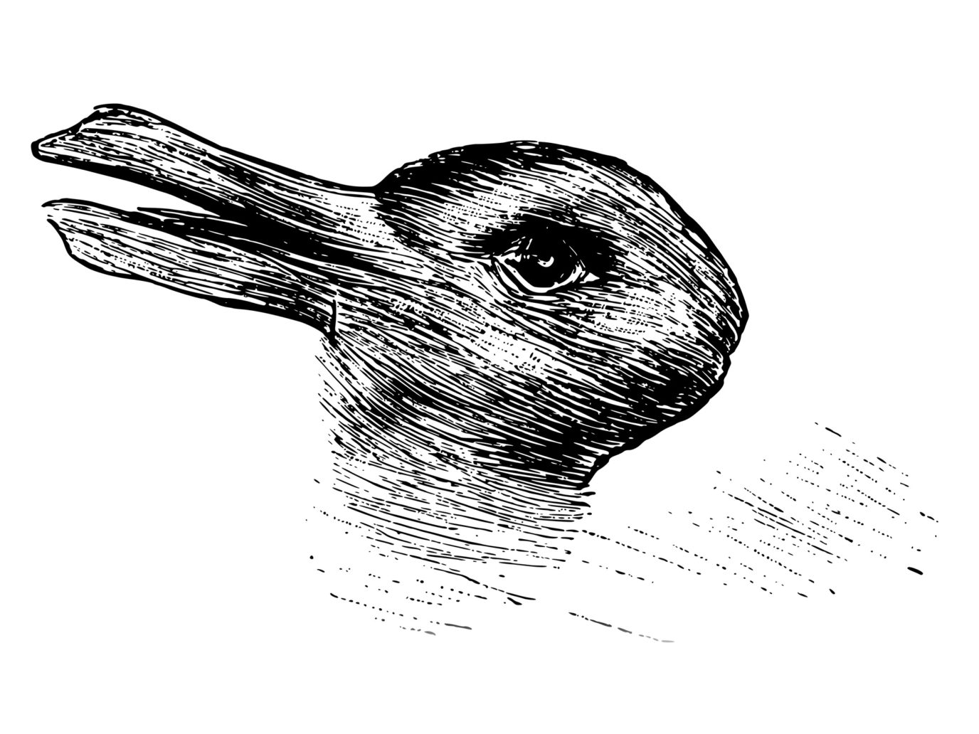 1741395673811.png