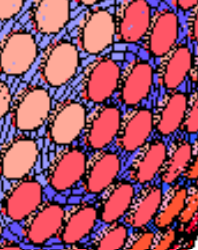 1749894899897.png