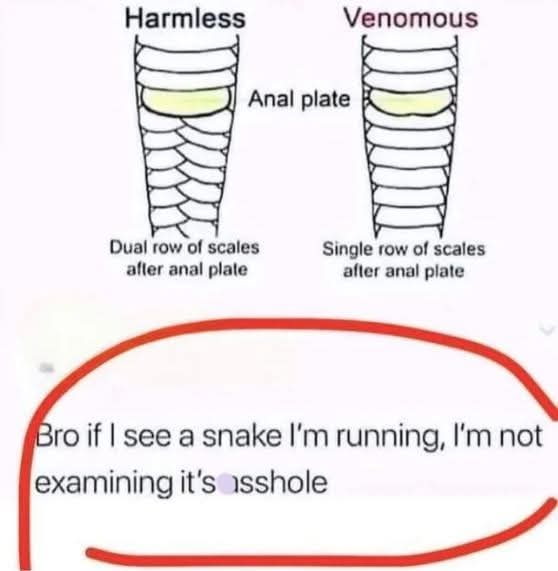 1750181153213.jpeg
