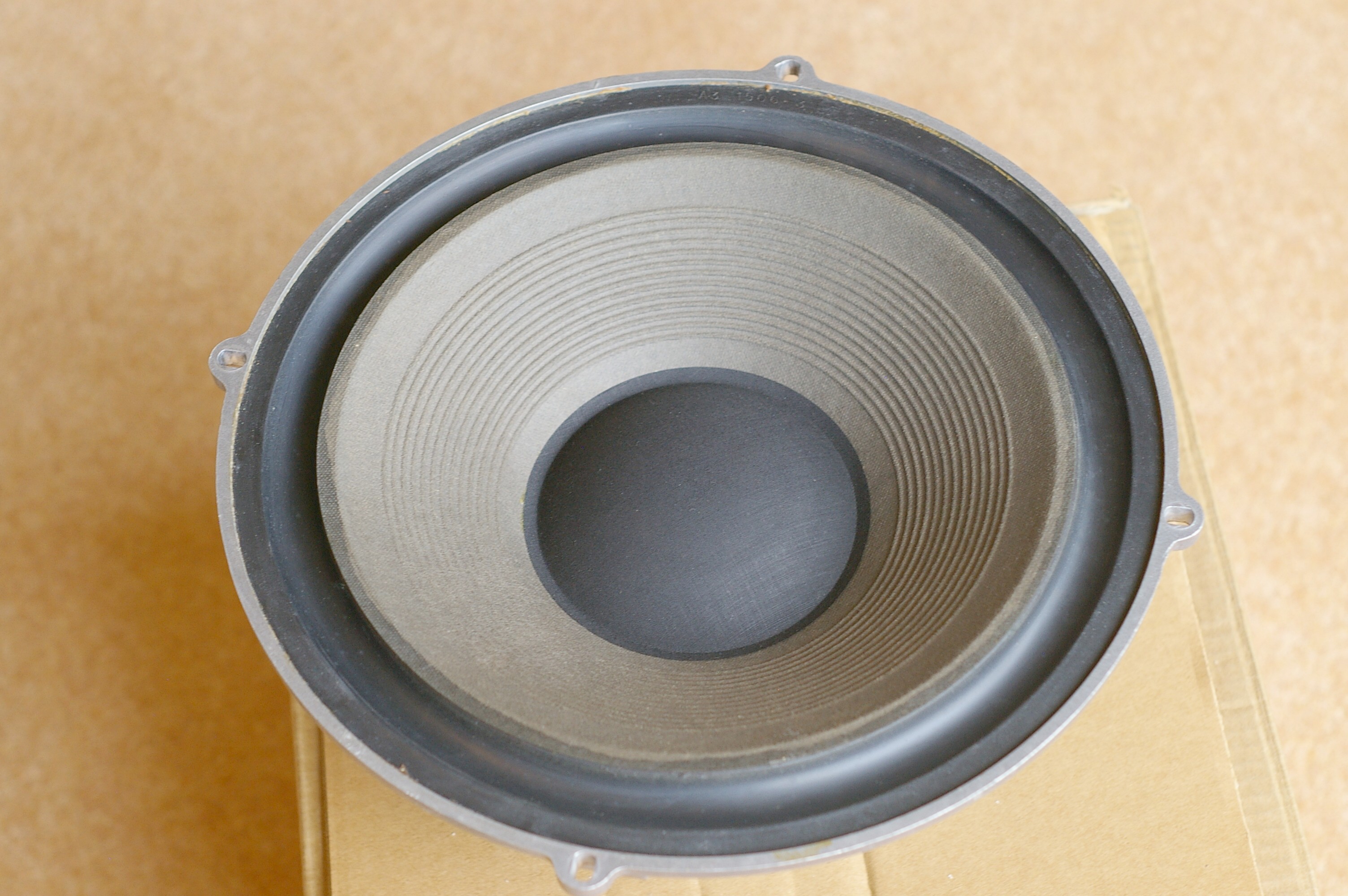 2. Bass A Cone.JPG