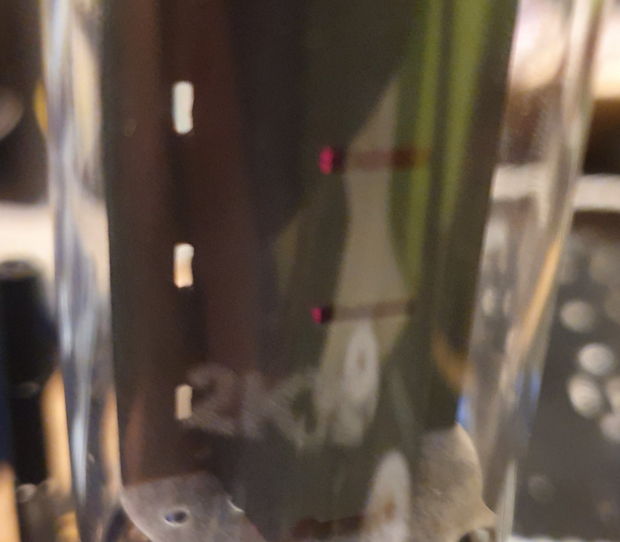 20220419_225818.jpg