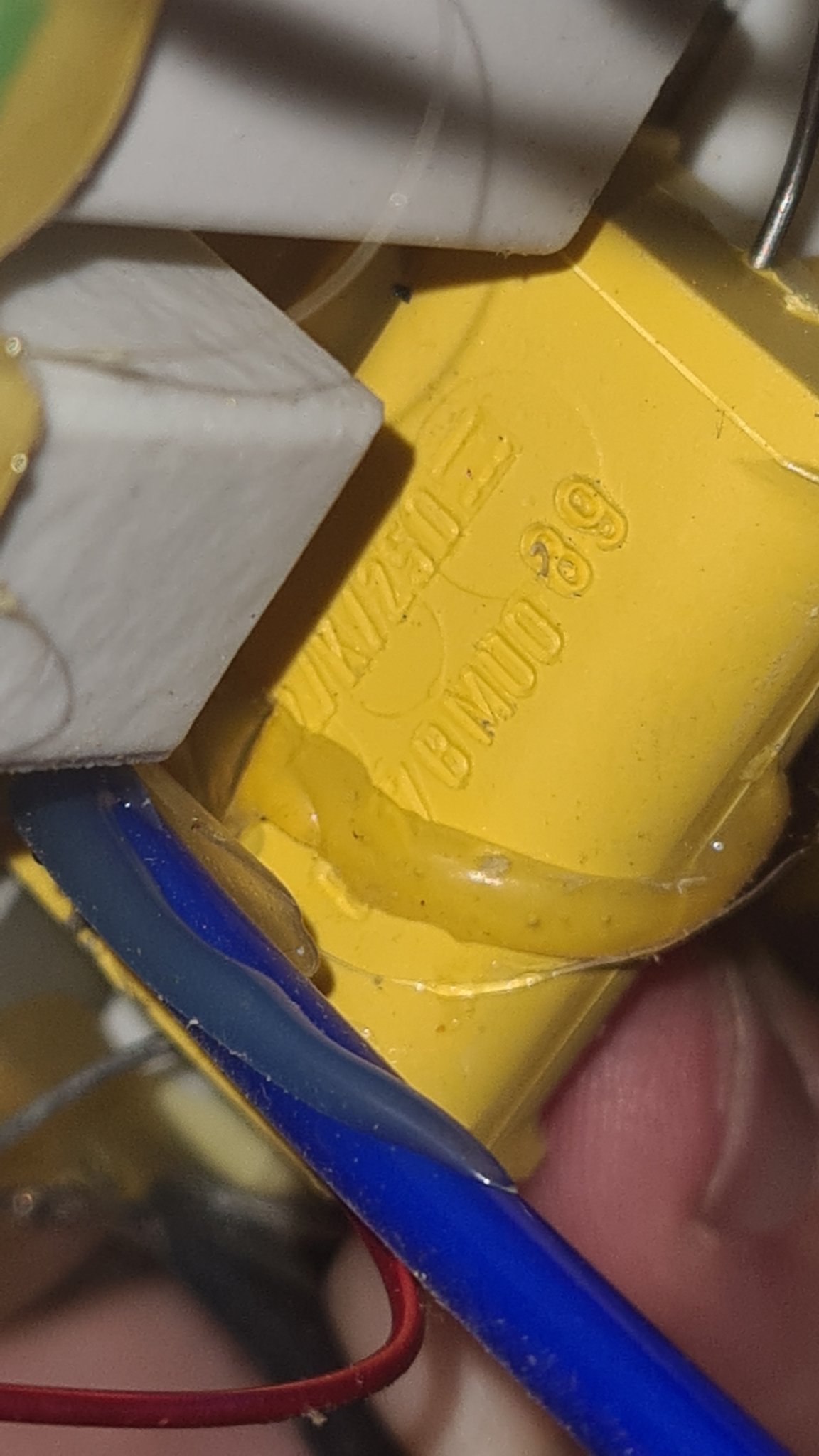 20230307_222517.jpg