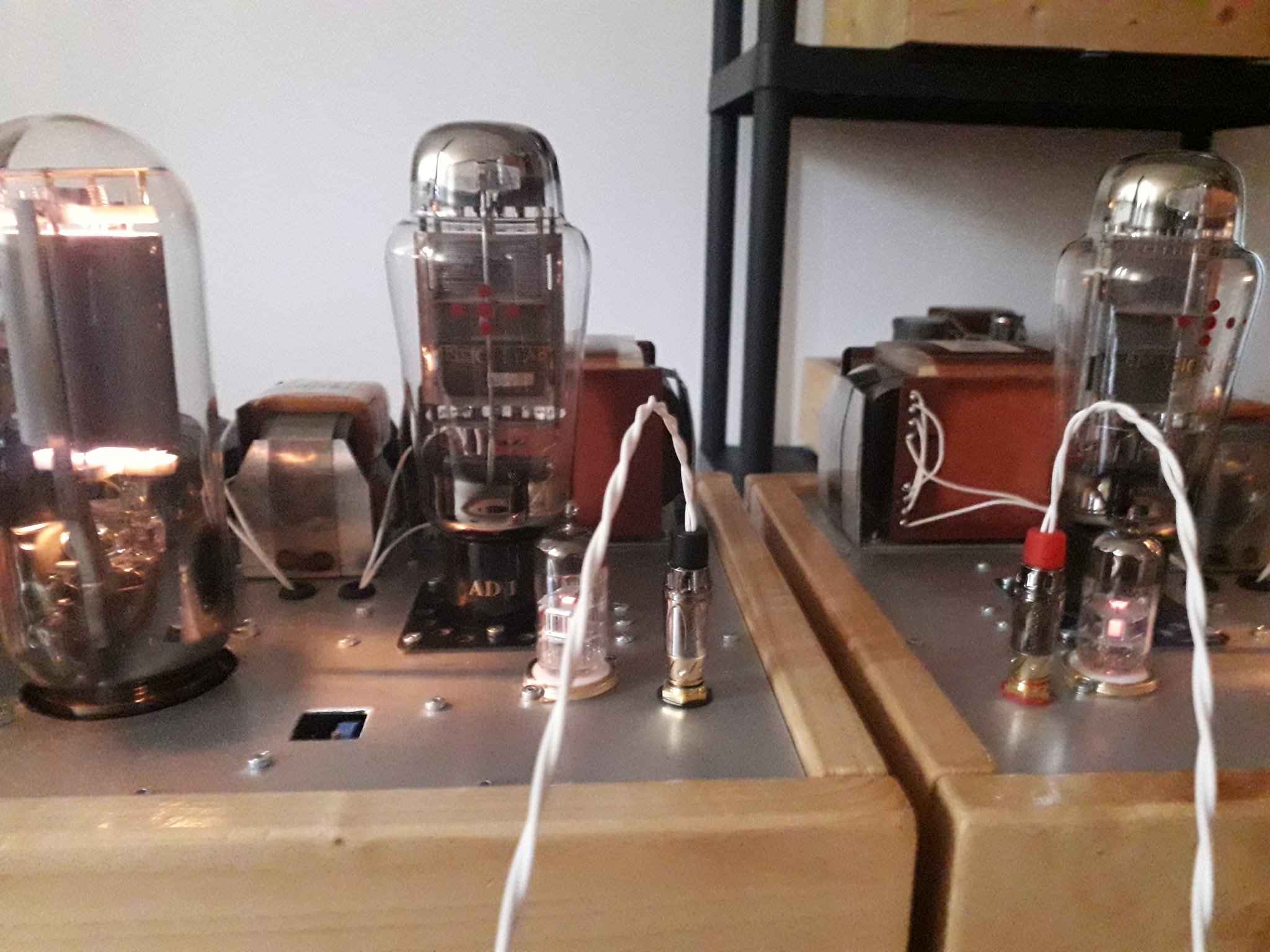 20230311_133338.jpg
