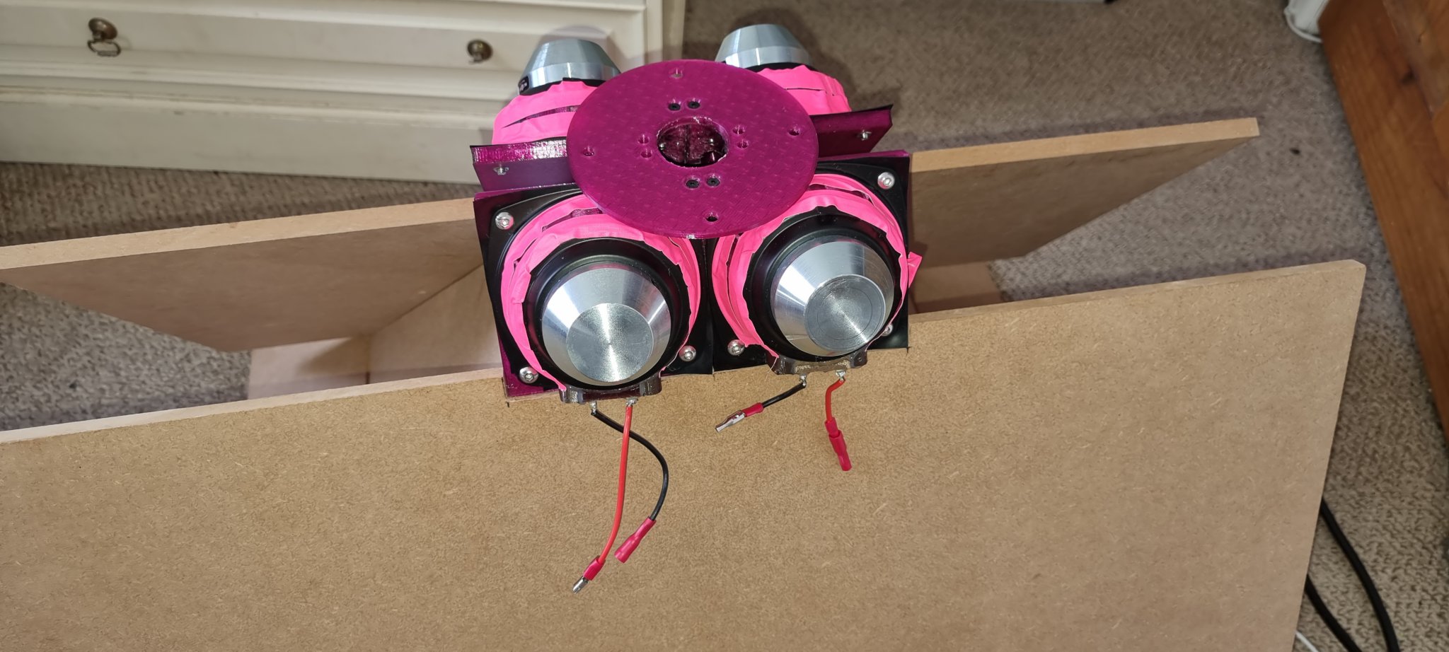 20230312_124559.jpg