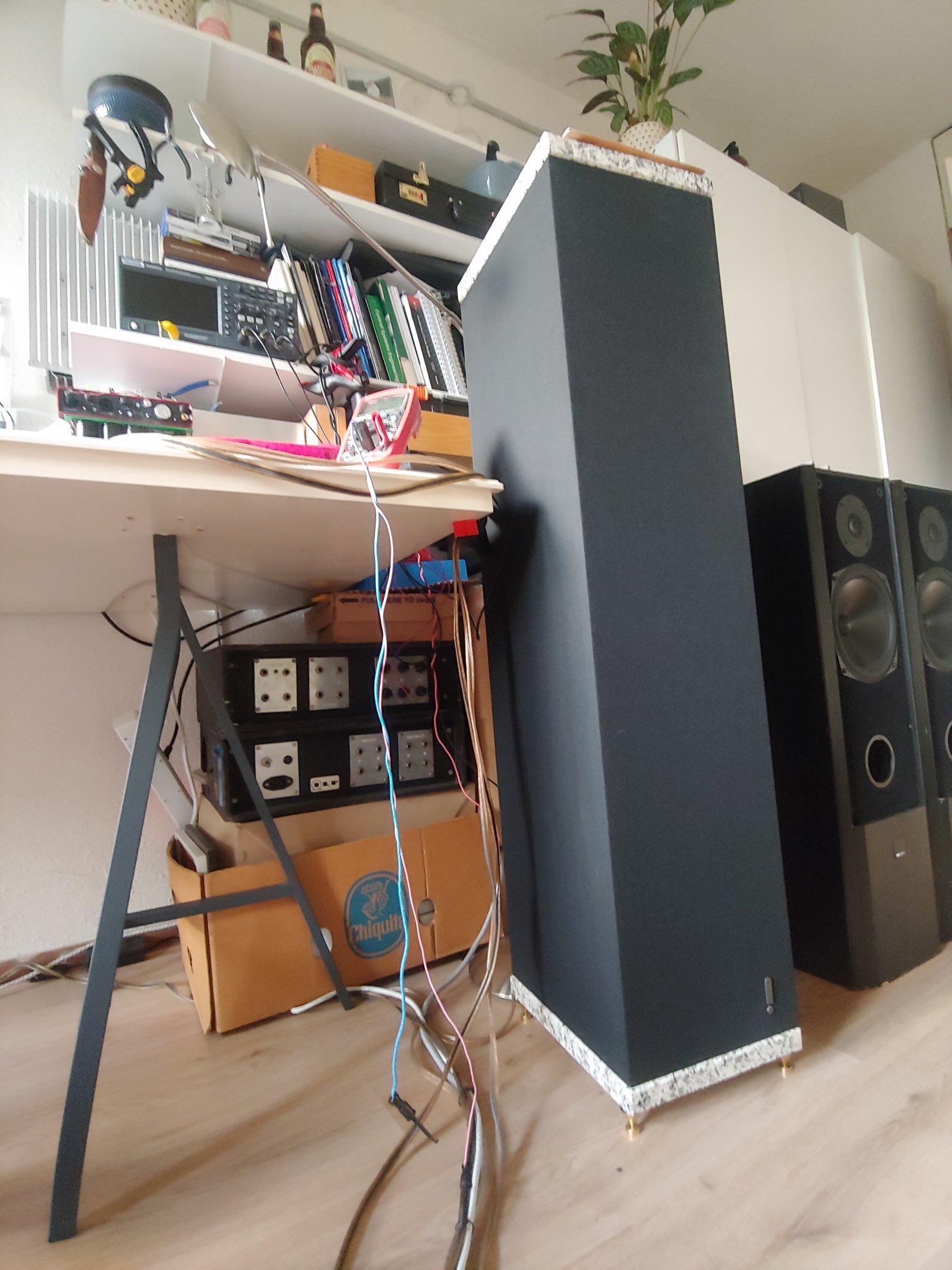 20230430_201637_HDR.jpg