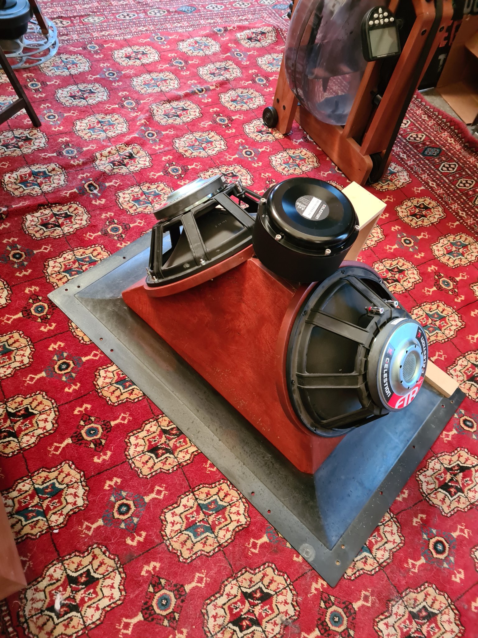 20231114_171214.jpg