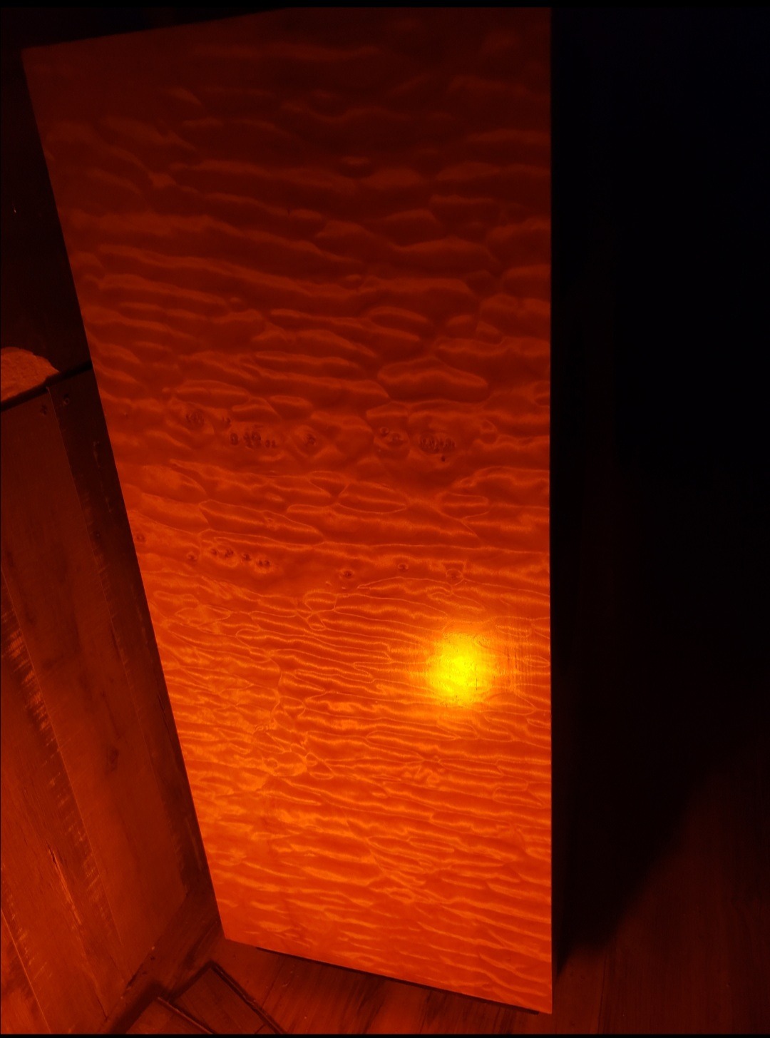 20231202_111702.jpg
