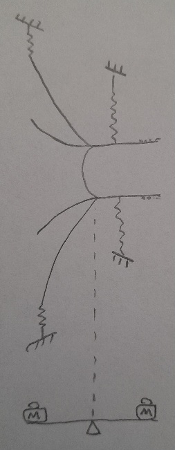 20250425_155437.jpg