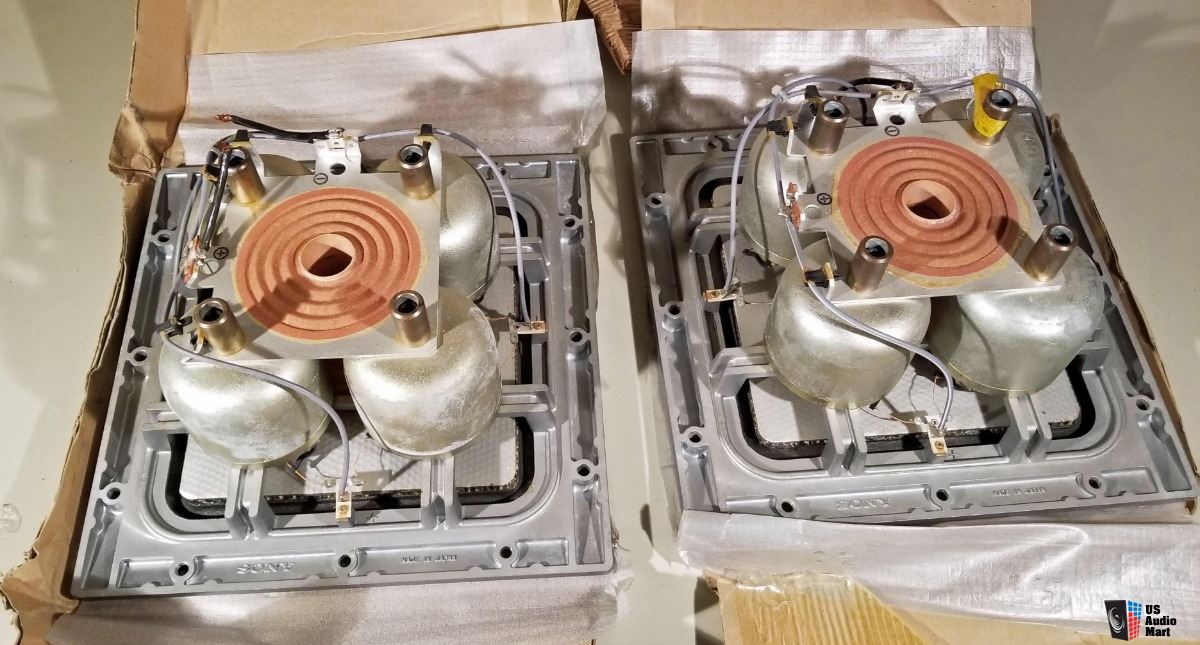 2044332-c8106048-sony-espirit-apm6-woofers.jpg