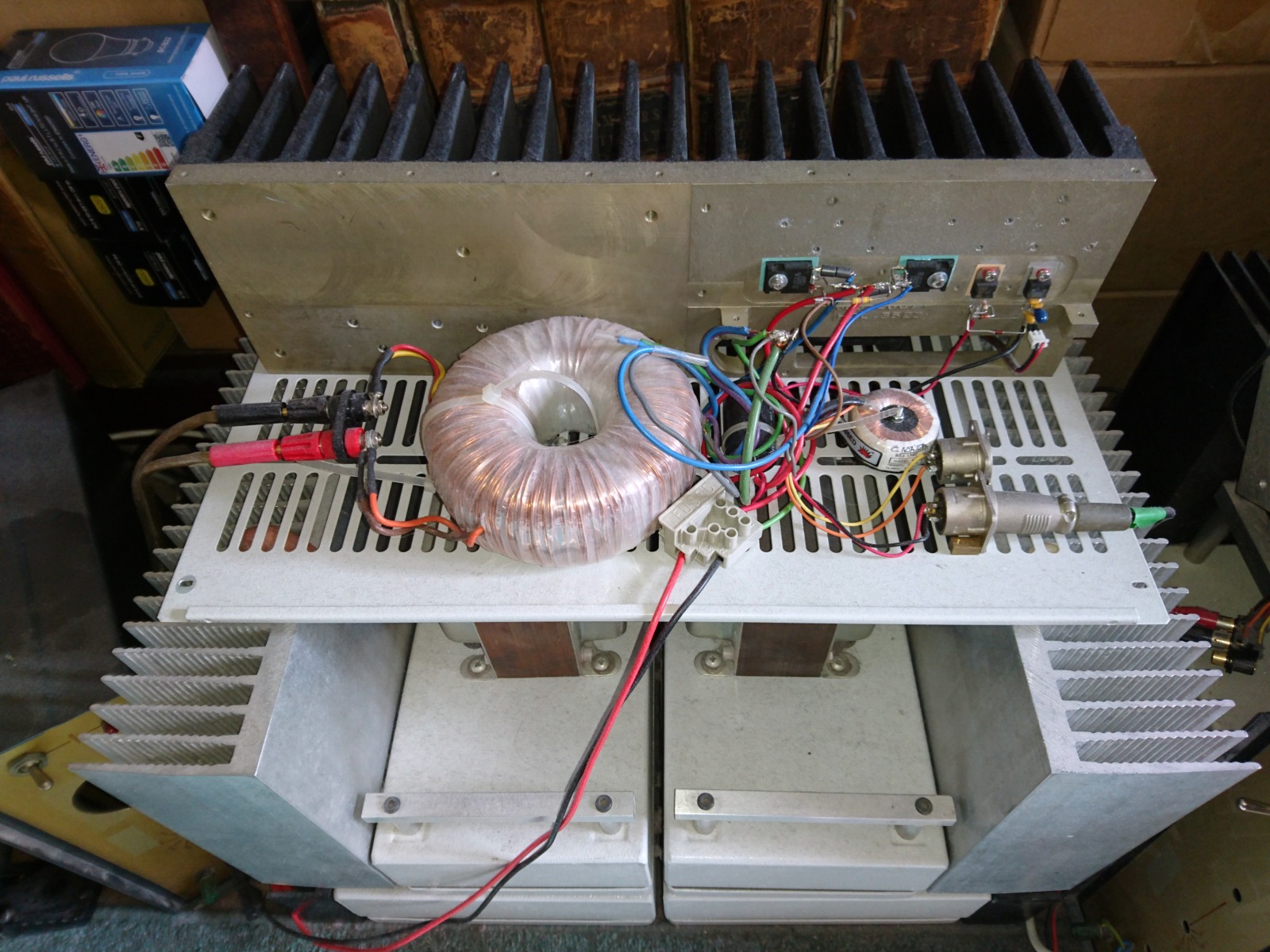 230520-bass-zeus-susan-hand-wound-torroid-output-transrormer-1.jpg