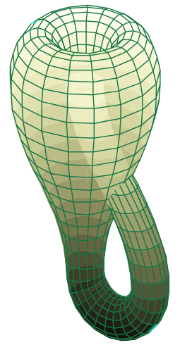 255px-Klein_bottle.svg.png