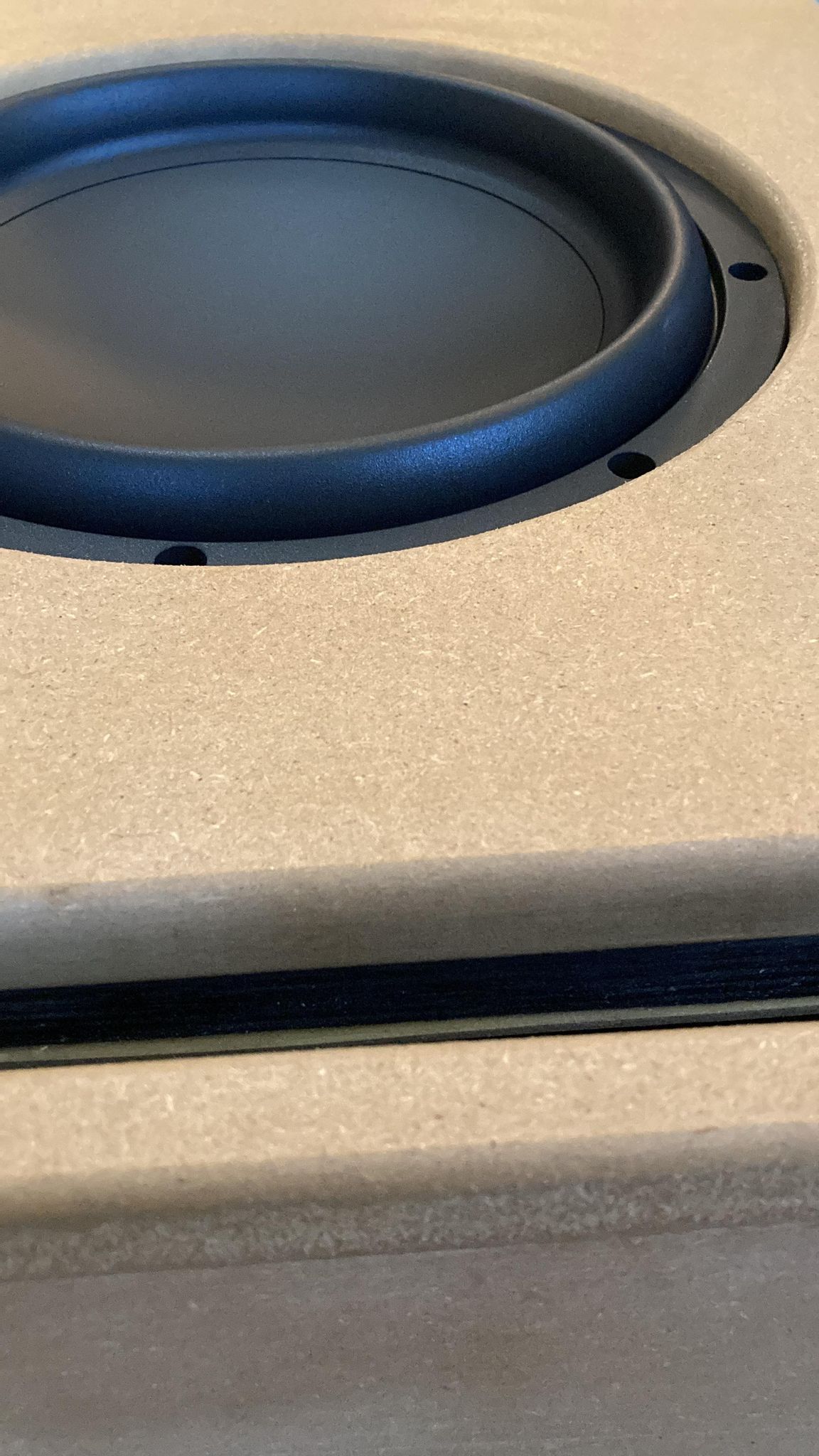 358065973_2641016739373036_8620320320789048764_n.jpg