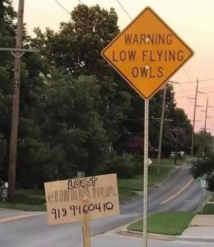 495301893_122118540758828523_2571663928717636274_n.jpg