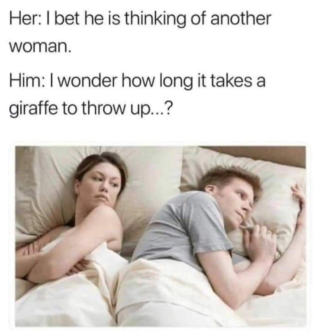 5889473166033058425.jpg.jpeg
