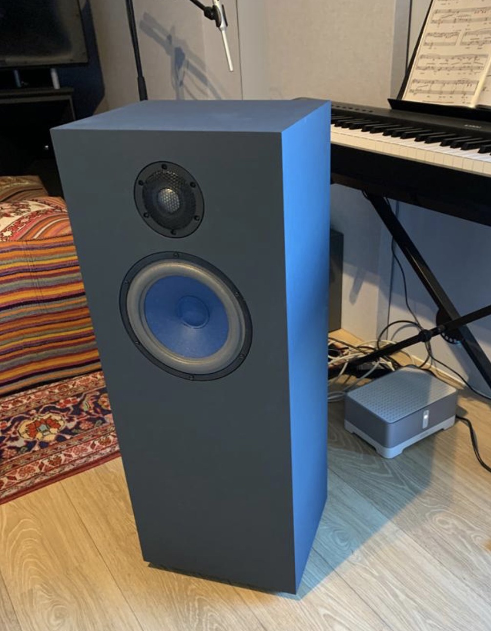 Audio Note ø22 Cm Woofer Whats The