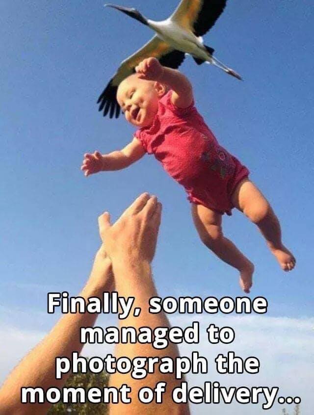 8PnHKe4.jpeg