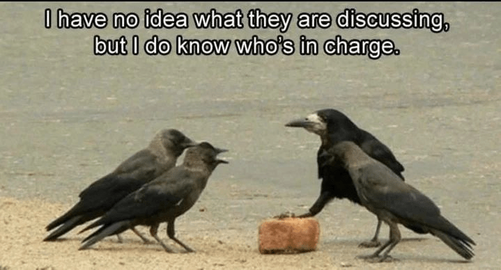 905762.png