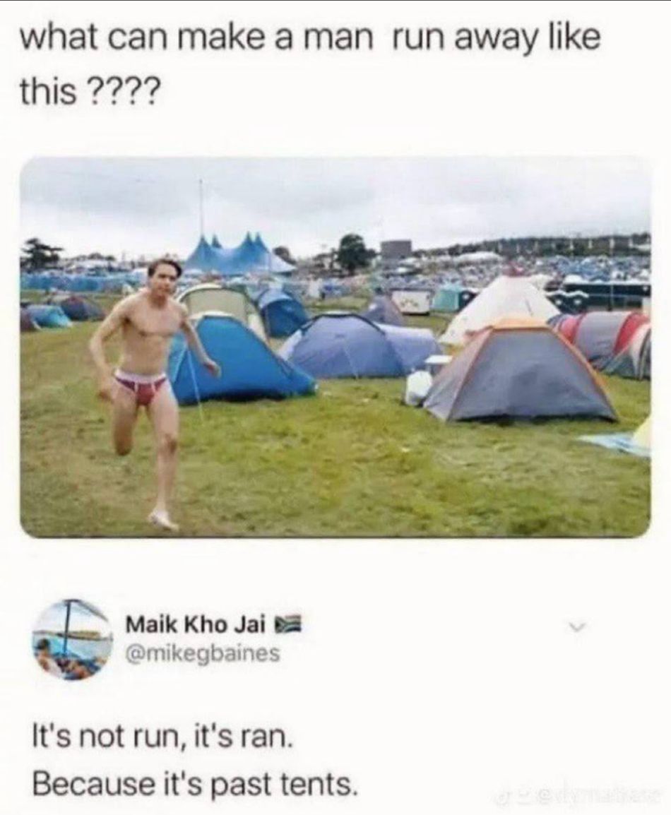 913338.jpg