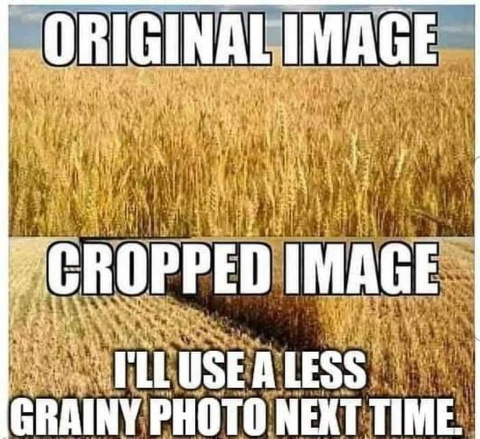 922933.jpg