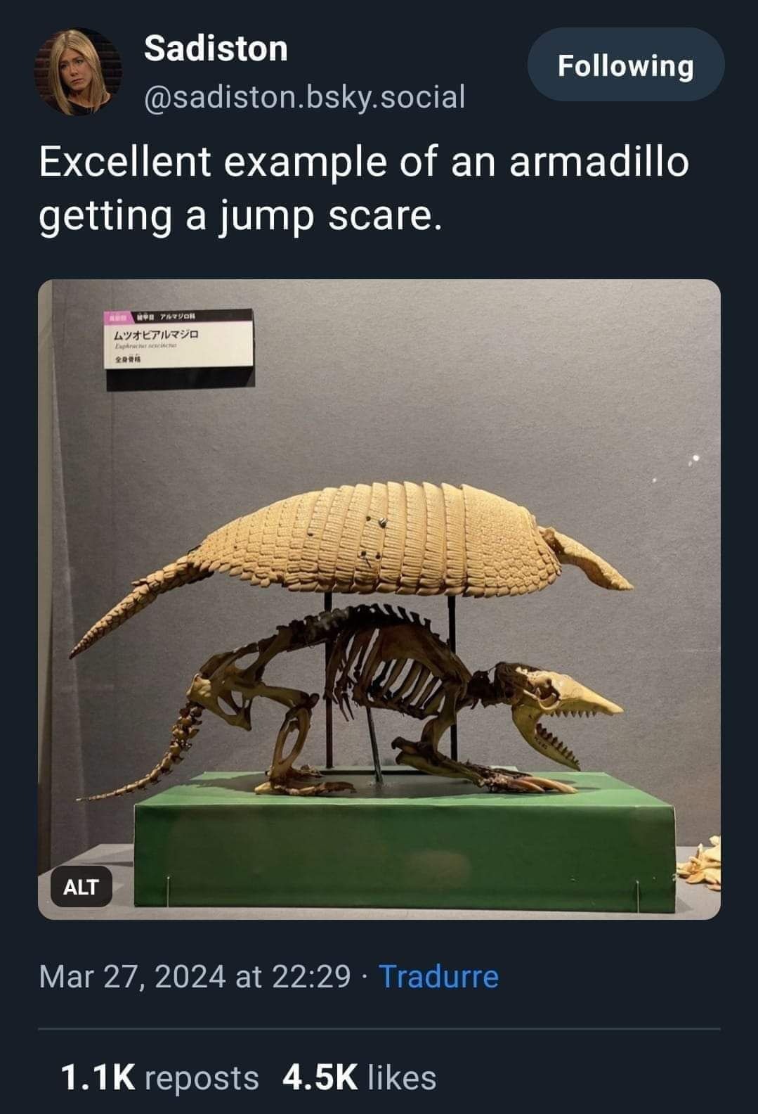 923242.jpg