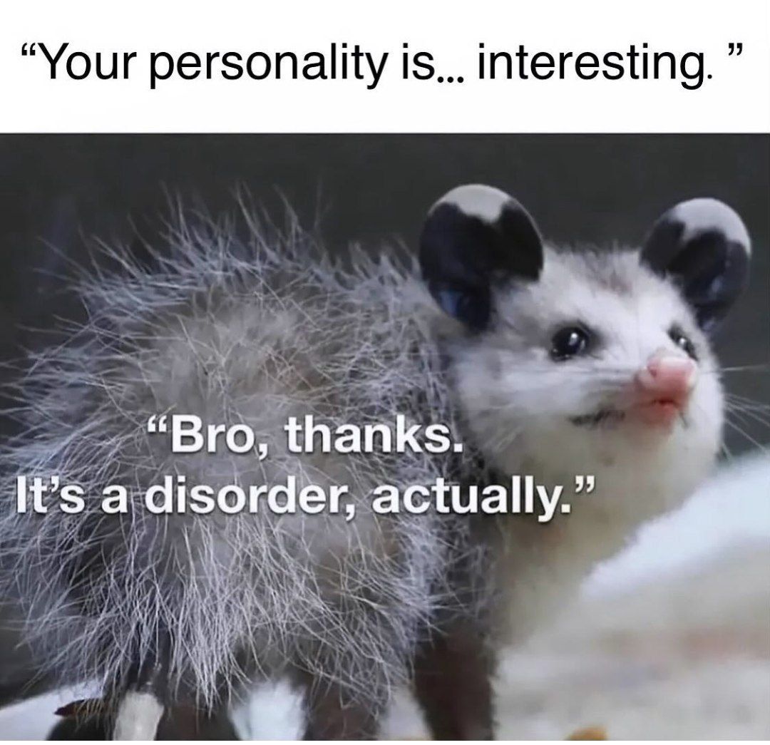 923485.jpg