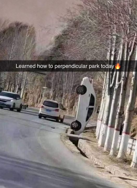 924311.jpg