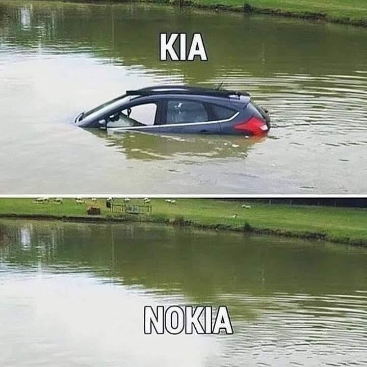 936861.jpg