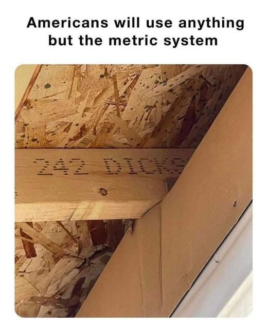 937150.jpg