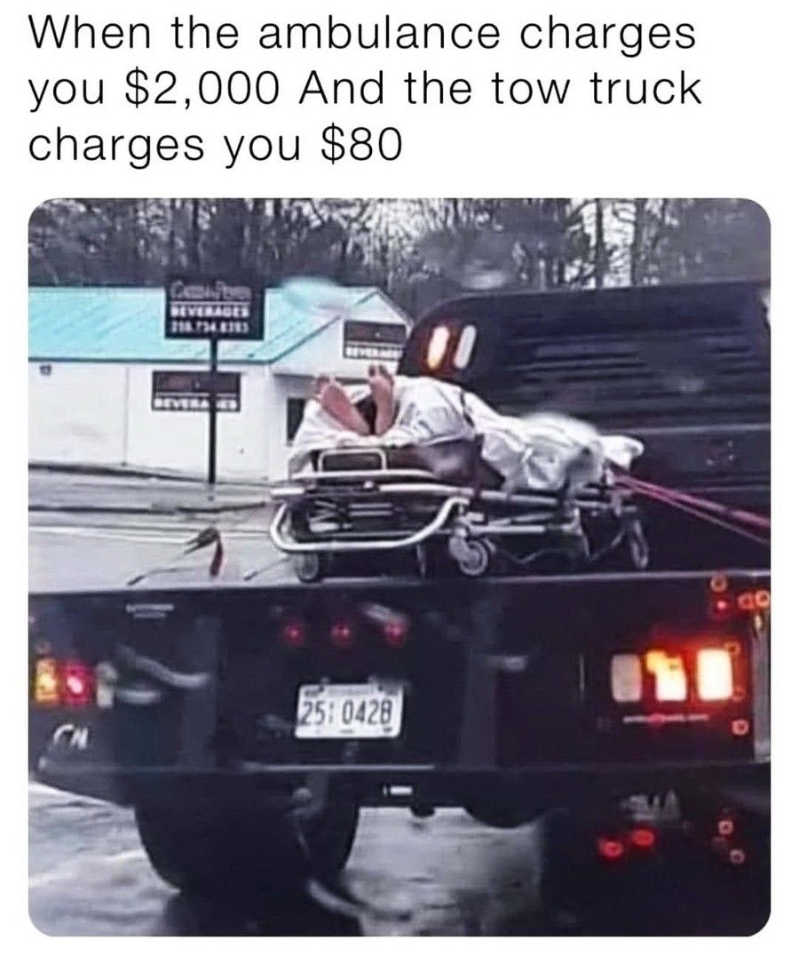 937547.jpg
