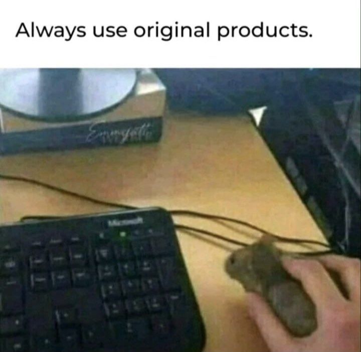 938098.jpg