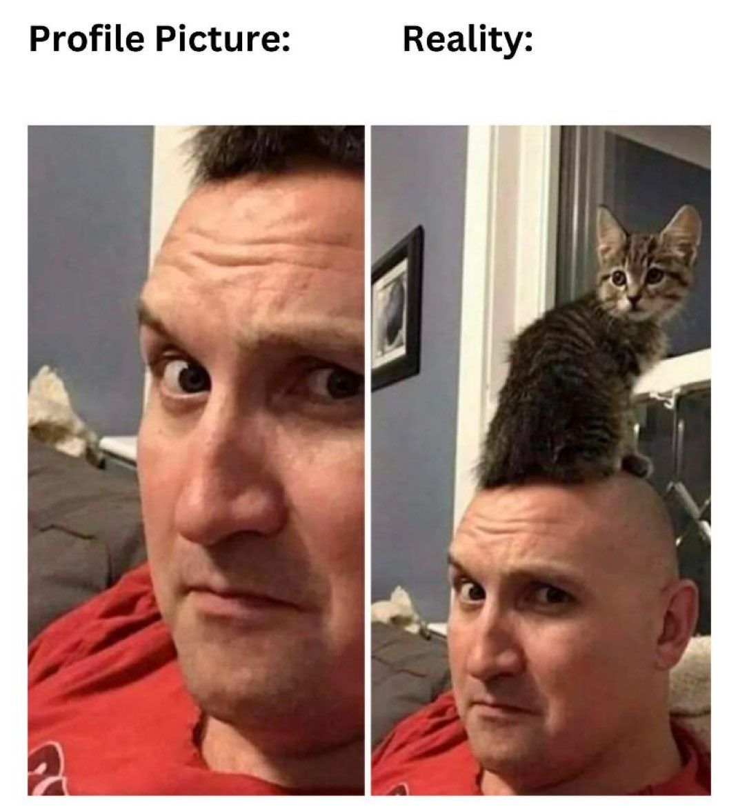 938304.jpg
