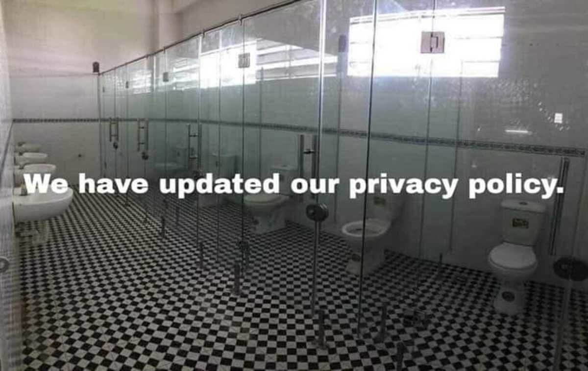 950053.jpg