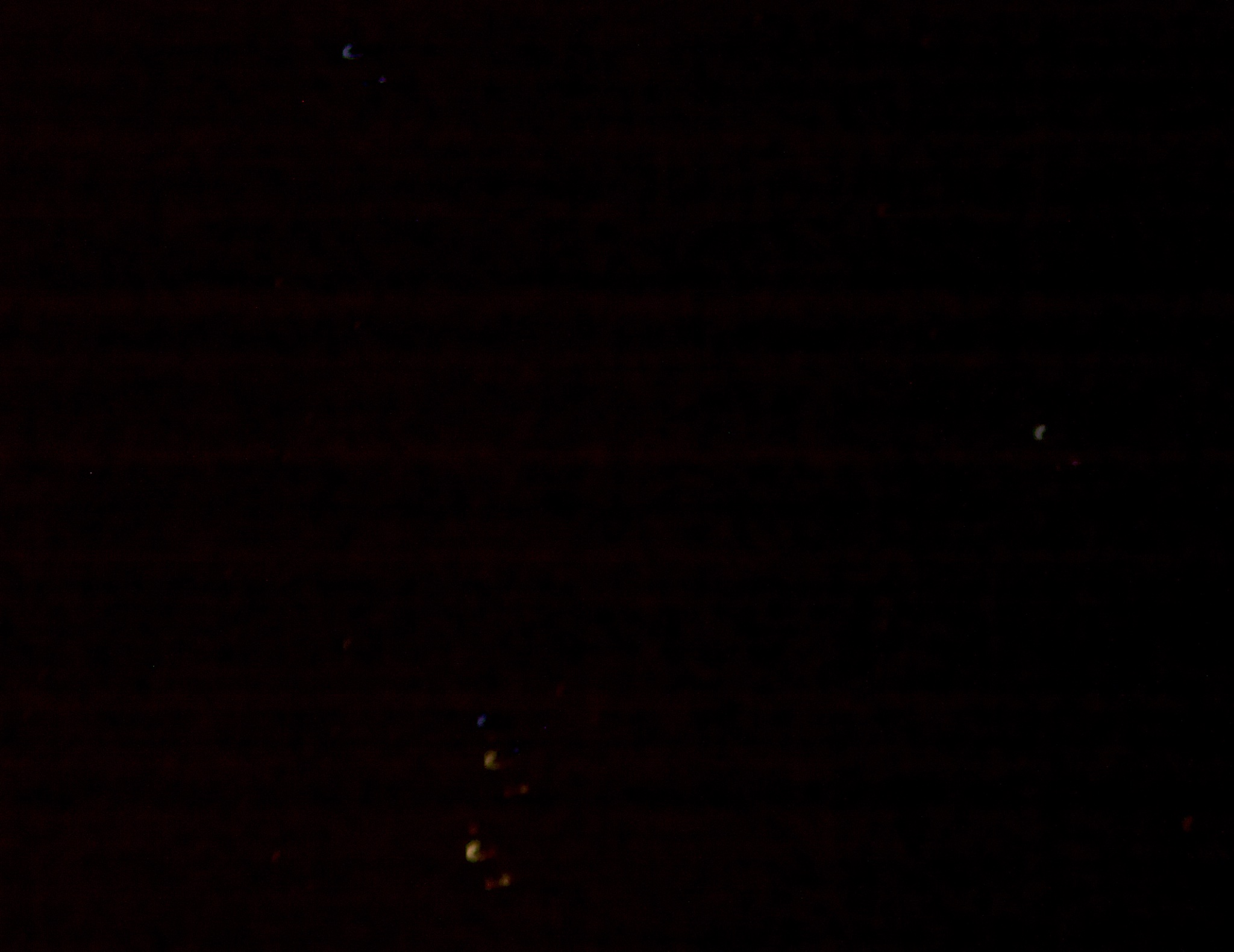 _11A5427 copy.jpg