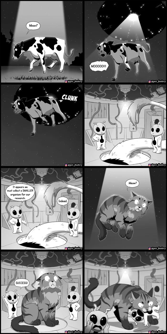 a7oDmDe_700bwp.jpg