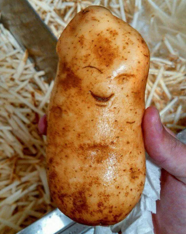 Adipose.jpg