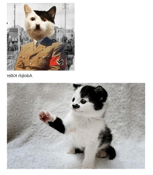 Adolph Kitler.jpg