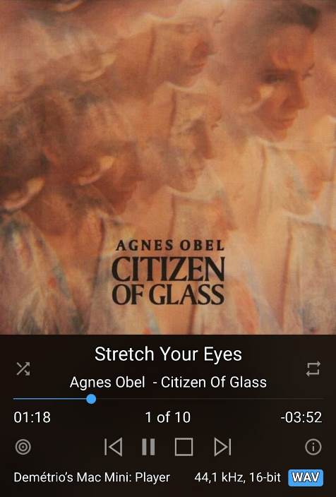Agnes Obel - Citizen.jpg