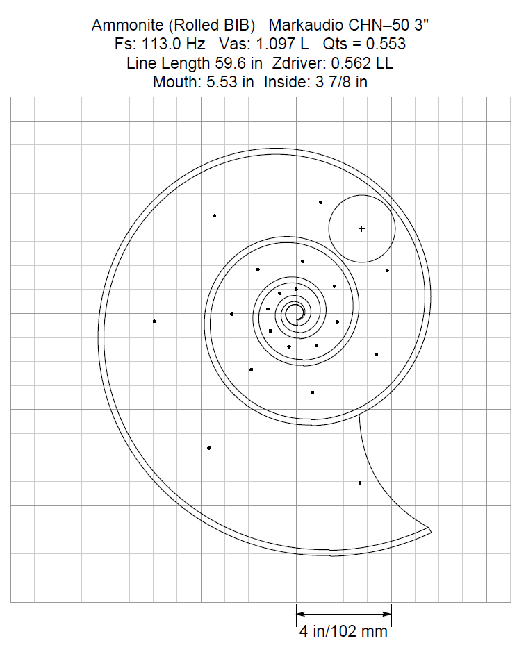 ammonite_chn-50.png