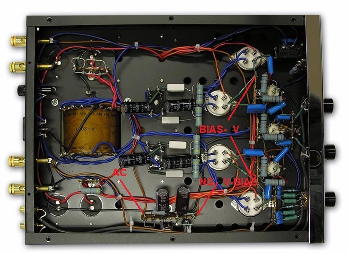 AMP-2.jpg