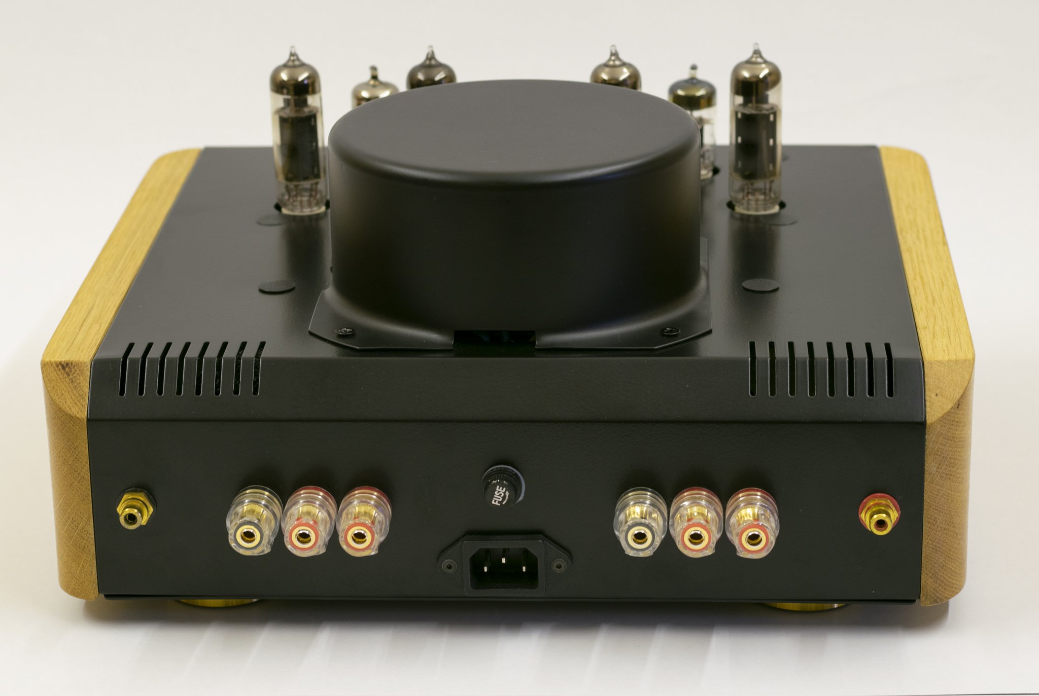 Amp01back.jpg