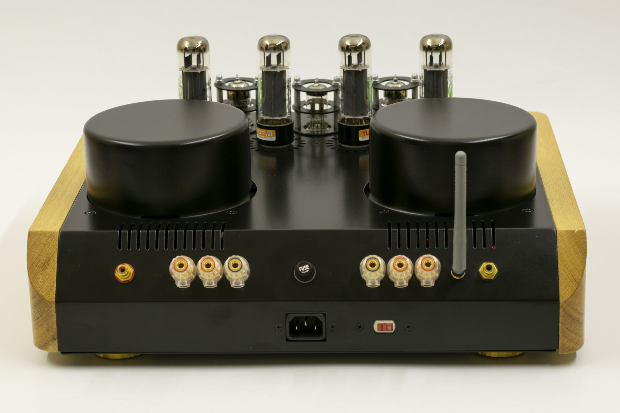 Amp04back.jpg