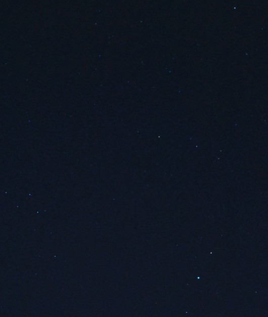 Aquila Delphinus Sagitta.jpg