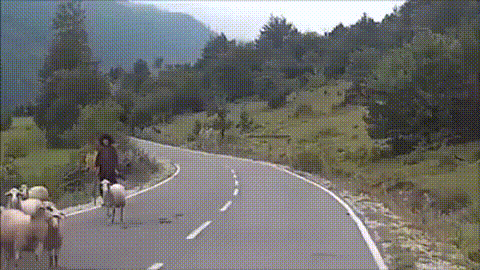 AttackOfTheSheep.gif