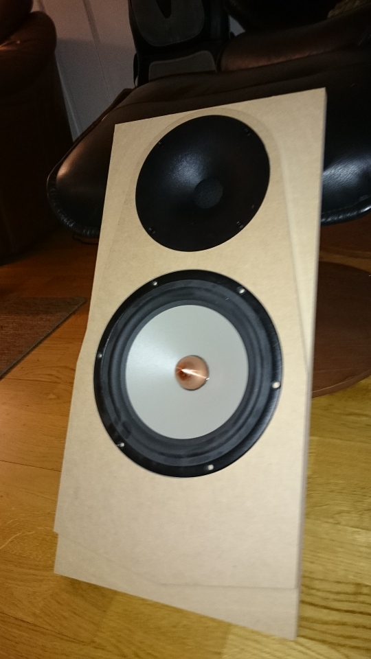 Seas TRIM (W22EX001 + WG) | diyAudio