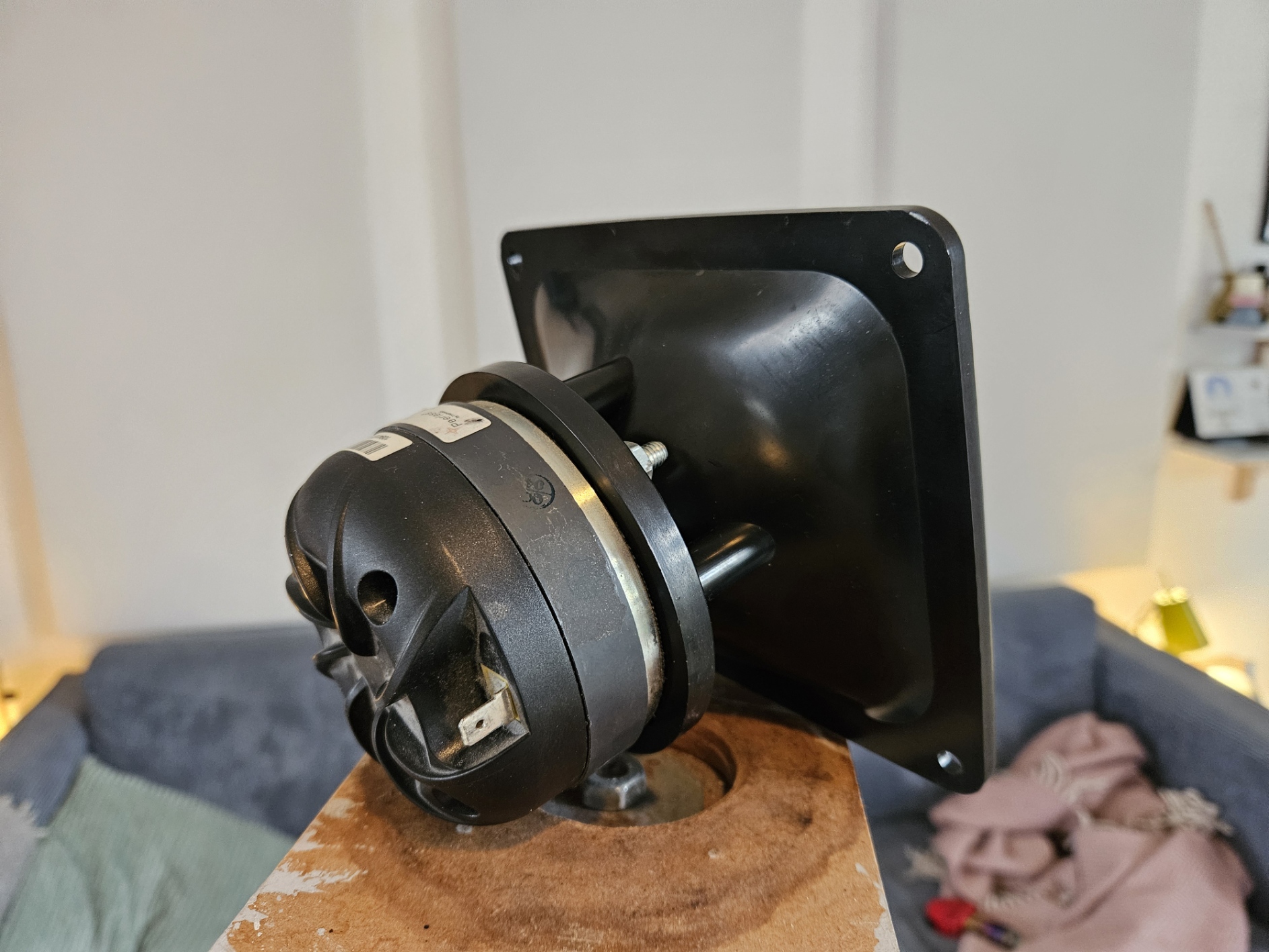 Back Horn.jpg