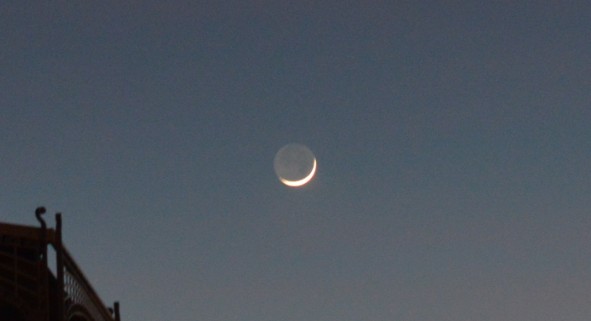 Banana Moon.jpg