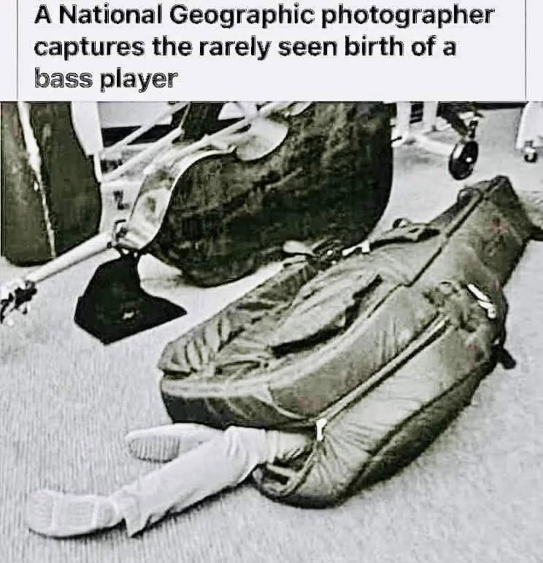 Bass Player.jpg