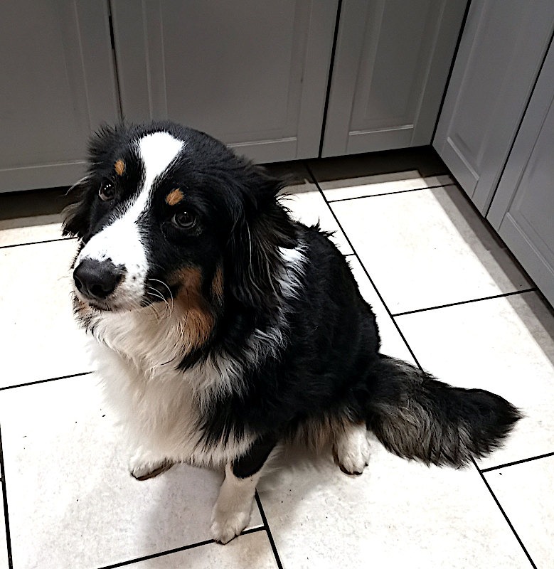 Becky8months.jpg