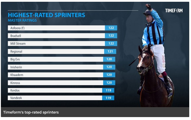Best Speedball 2024.jpg