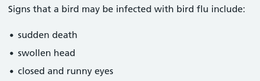 Bird Symptoms.png